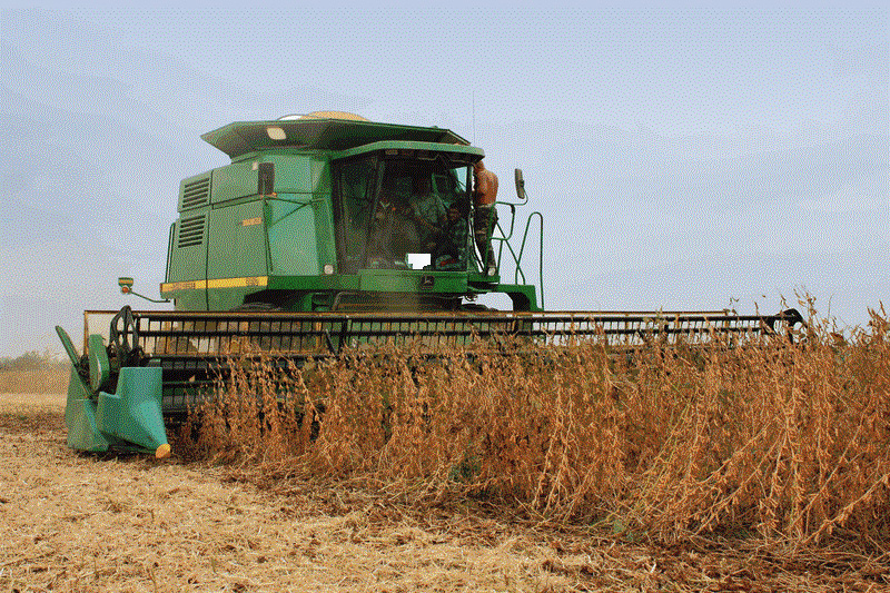 Уборка урожая сои Аполло