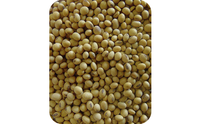 Соя раундап заказ опт